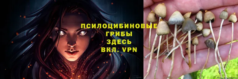 где можно купить наркотик  ссылка на мегу вход  Галлюциногенные грибы Magic Shrooms  Рославль 